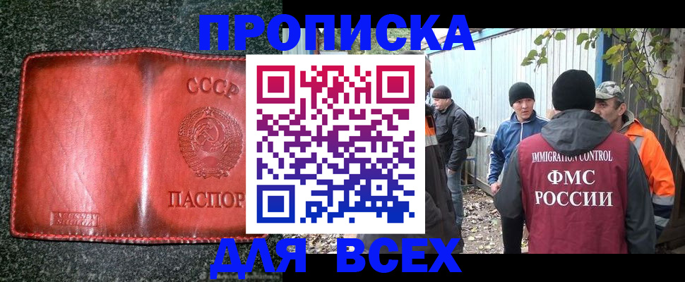 временная регистрация поиск в Светогорске